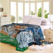 Full/Queen Size Soft Blanket with Animal Prints-assorted-6 pcs/cs