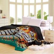 Full/Queen Size Soft Blanket with Animal Prints-assorted-6 pcs/cs