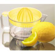 600nl/20.5 OZ Fruit Juicer-assorted color-24 PCS/CS