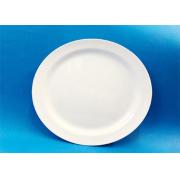 #8603 Melamine Dia 11