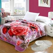 #F5132-5, 3.5KG Queen Size 2PLY Super Soft Blanket 79